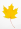 y leaf